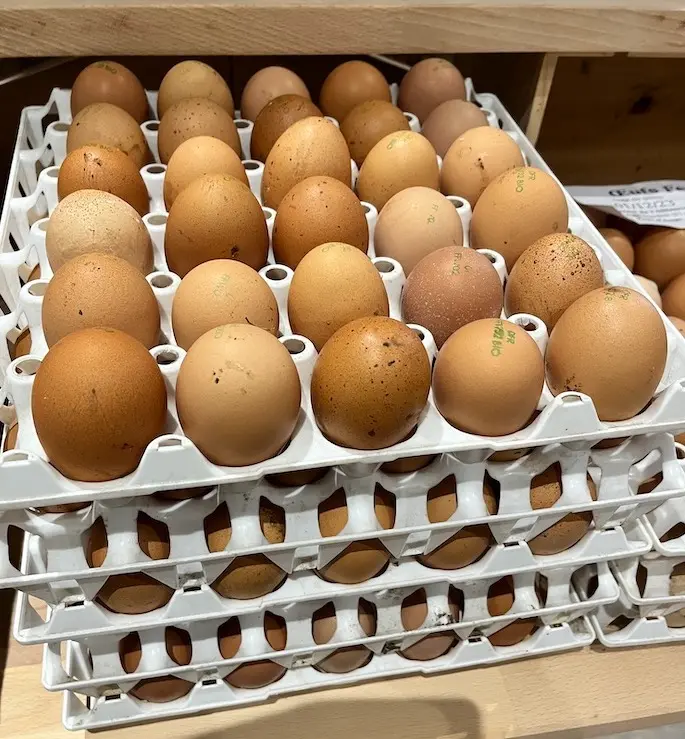 Oeufs (6)