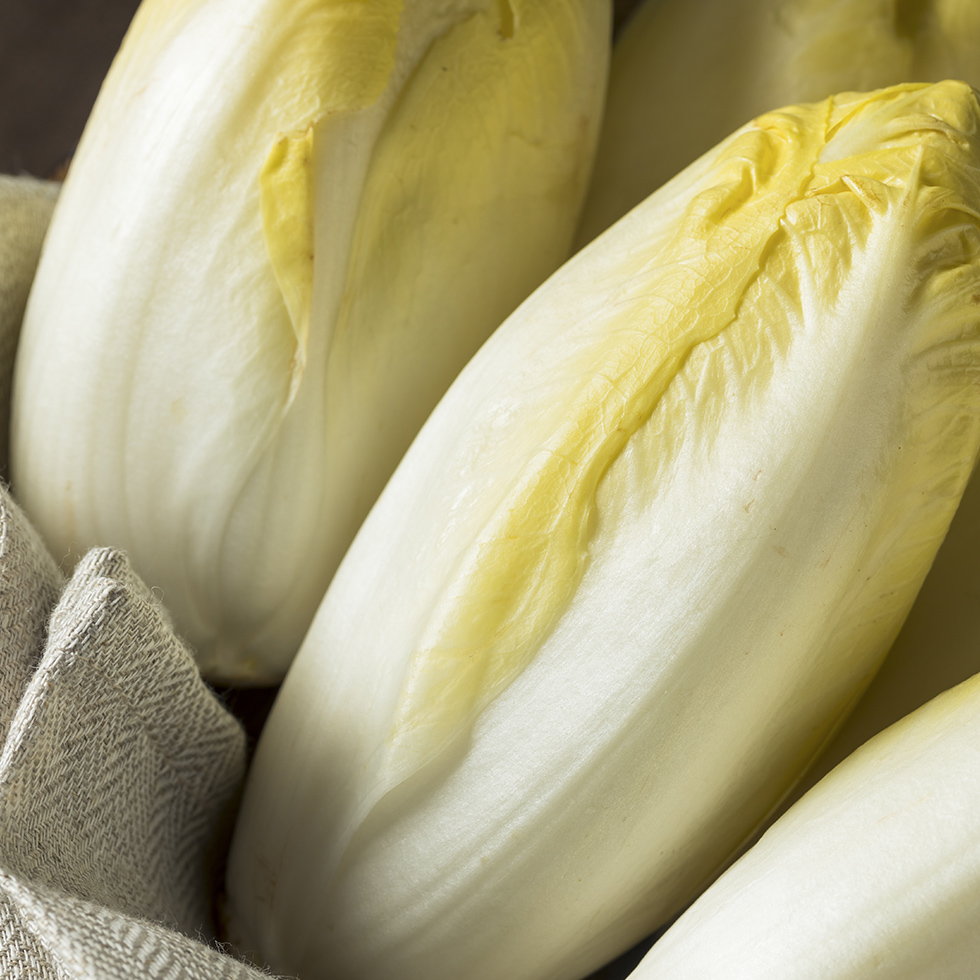 Endives
