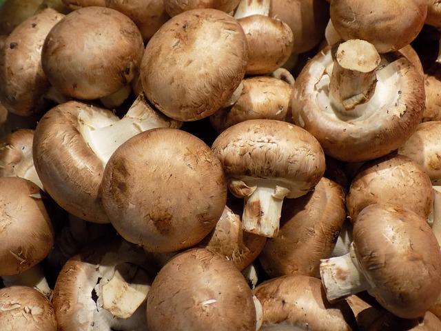 Champignons de Paris