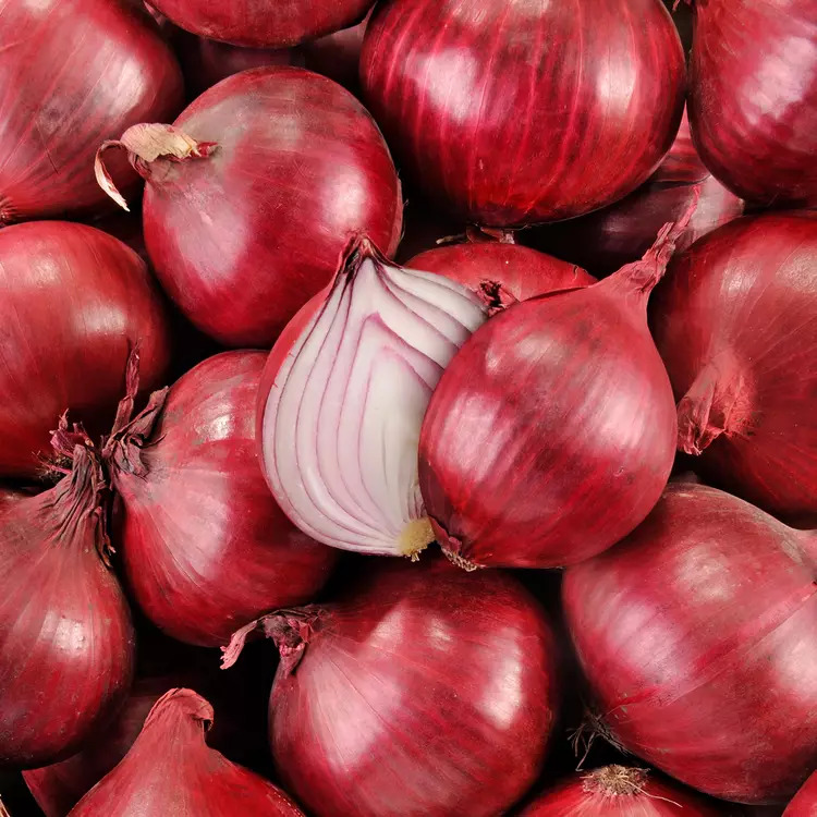 Oignon rouge