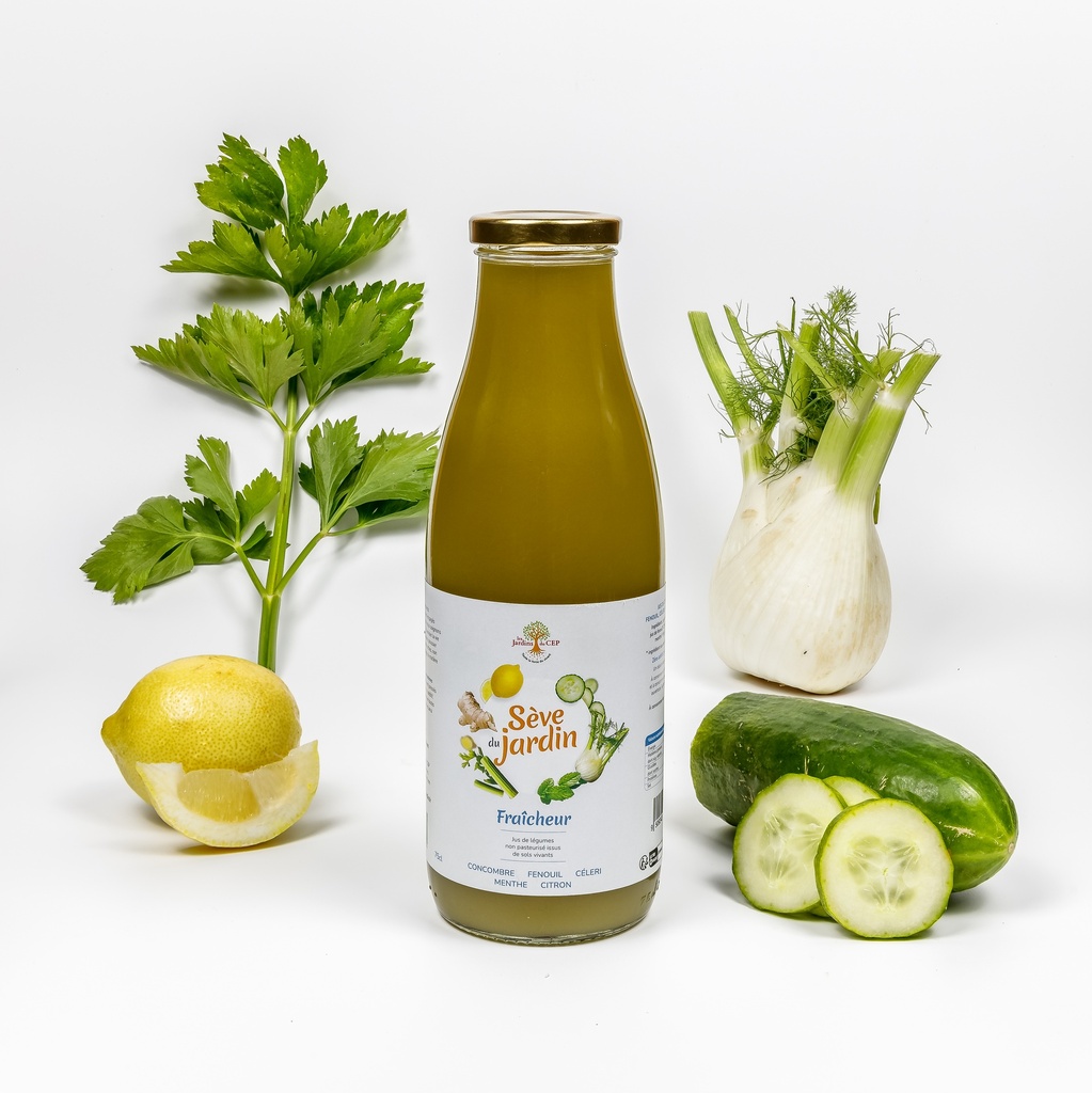 Jus Céleri-épinard
