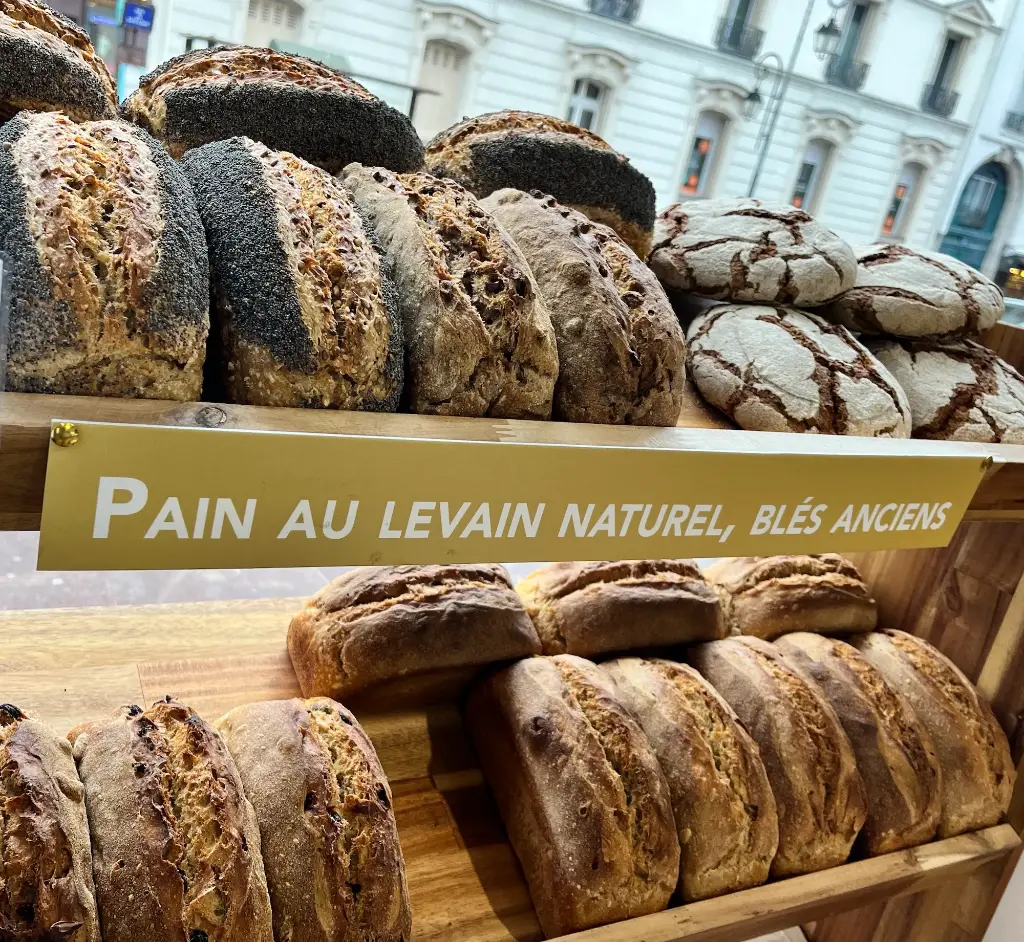 Pain nature