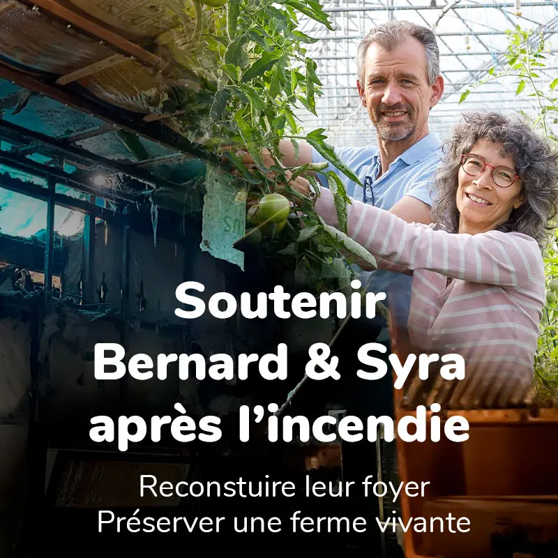 Financement participatif 40-80-120€