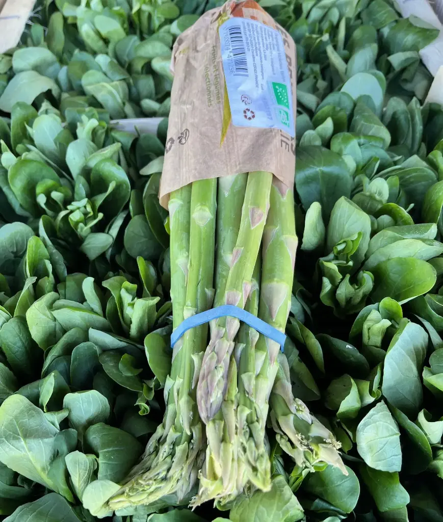 Asperges