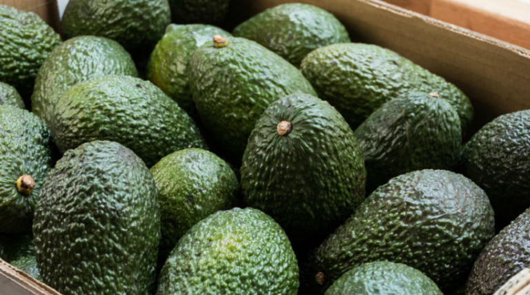 Avocat