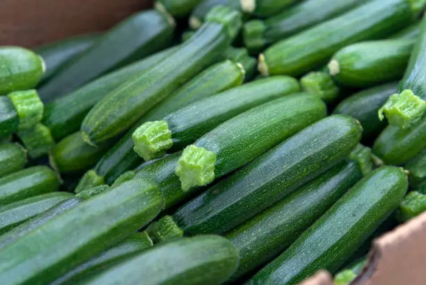 Courgette