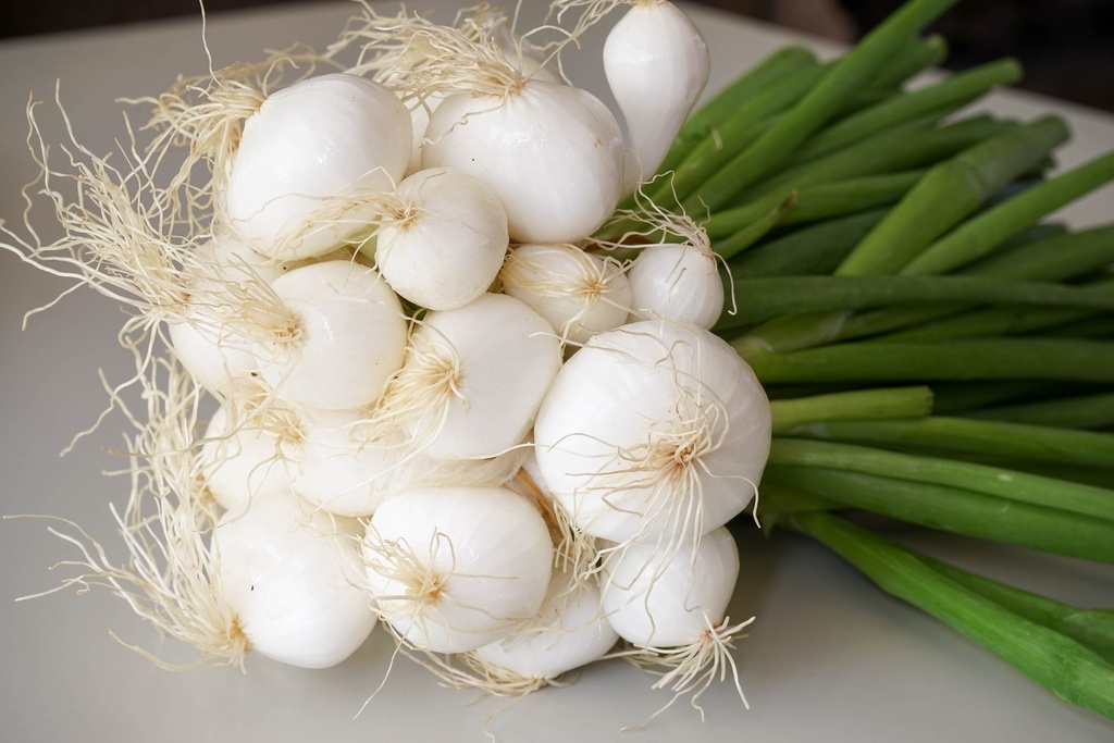 Oignon blanc