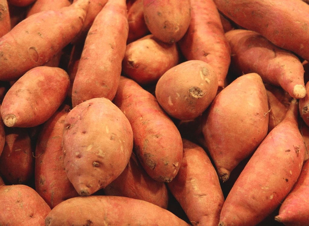 Patate douce