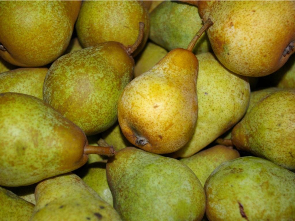 Poires