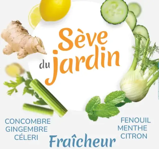 Jus Concombre-céleri BIB
