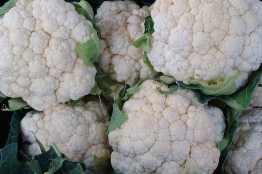 Chou-fleur
