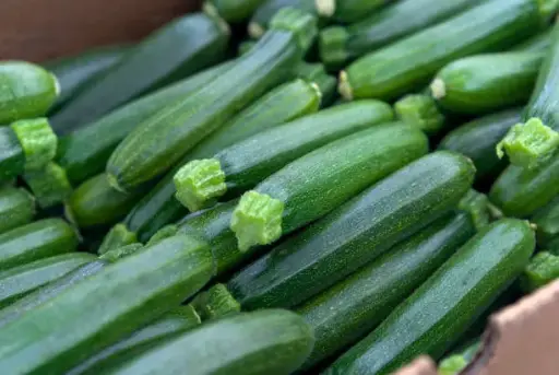 Courgette