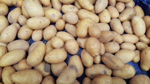 Pomme de terre grenaille