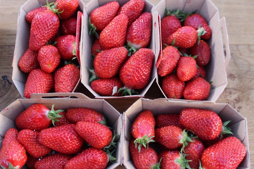 Fraises