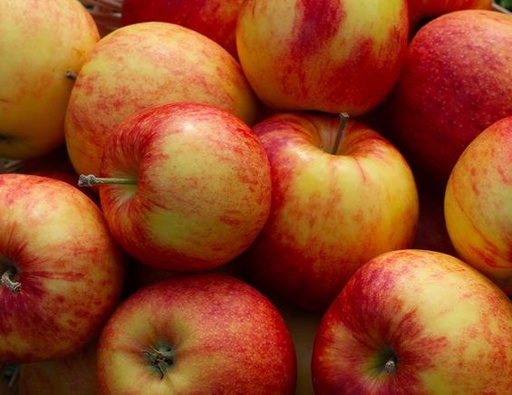Pommes de table